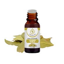 Charger l'image dans la galerie, Huile essentielle de LAURIER NOBLE